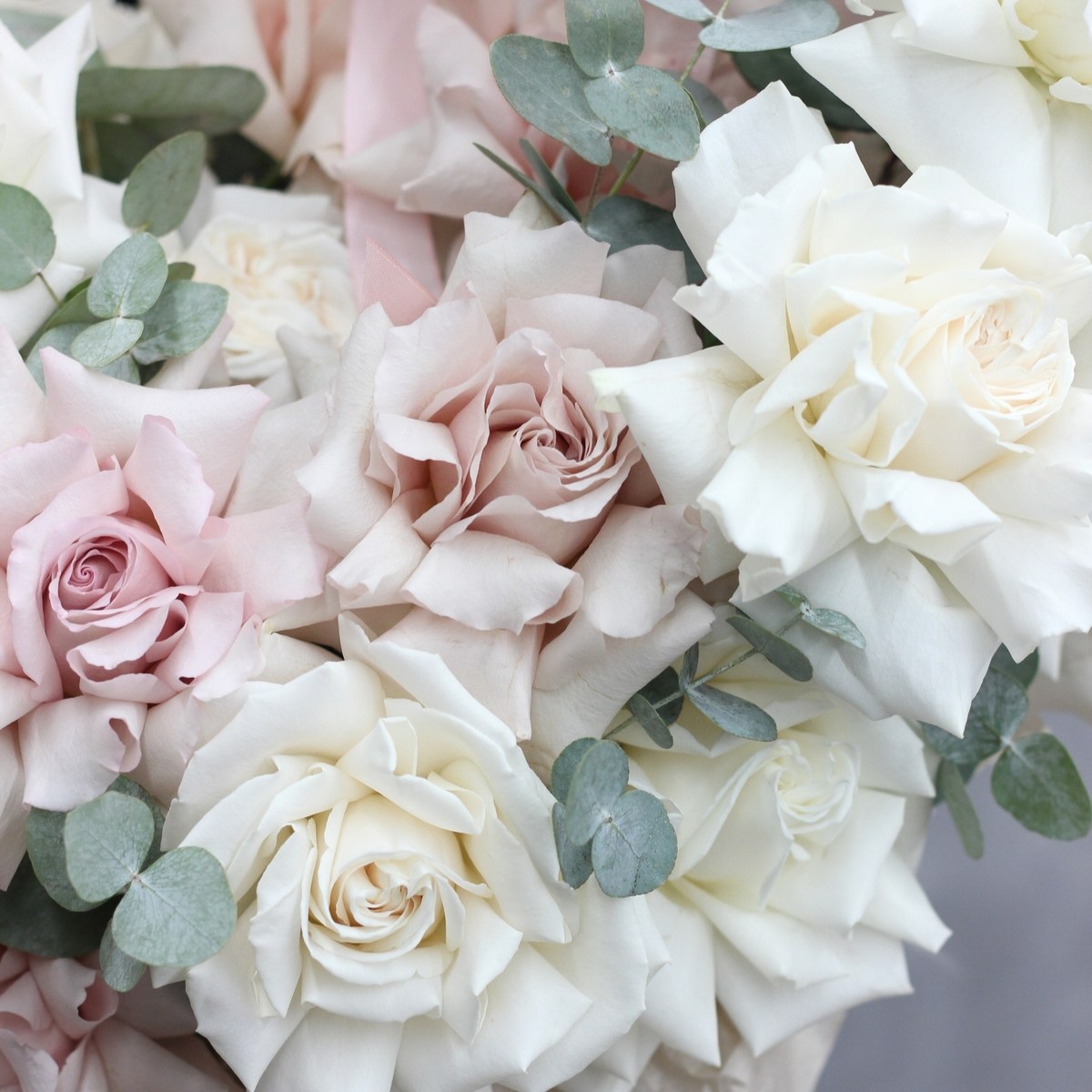 Francuzskaya roza v korzine 577